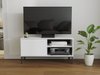 Meuble TV Lomsore 100 (Blanc)