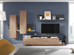 Ensemble de salon Lutiva 100 (Anthracite + Ribbec chêne)