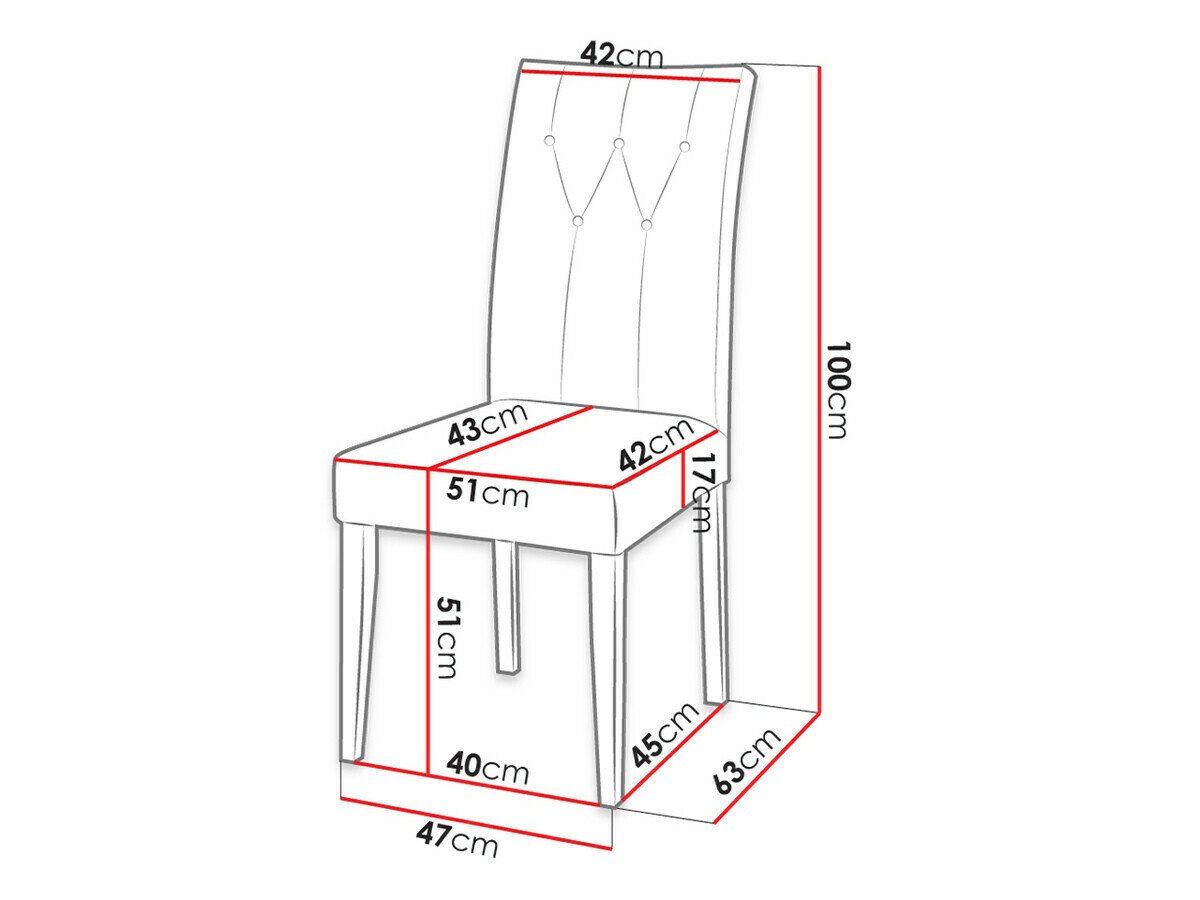 Chaise Racine 109 (Magic Velvet 2217)