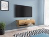 Meuble TV Sarasota 117 (Chêne wotan)