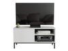 Meuble TV Lomsore 100 (Blanc)