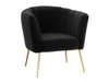 Fauteuil Orem 112 (Magic Velvet 2219)