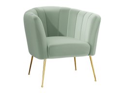 Fauteuil Orem 112 (Magic Velvet 2227)