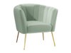 Fauteuil Orem 112 (Magic Velvet 2227)