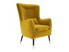 Fauteuil Orem 114 (Magic Velvet 2234)