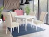 Chaise Racine 107 (Blanc)