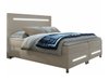 Lit boxspring Pluvia (Fresh 1)
