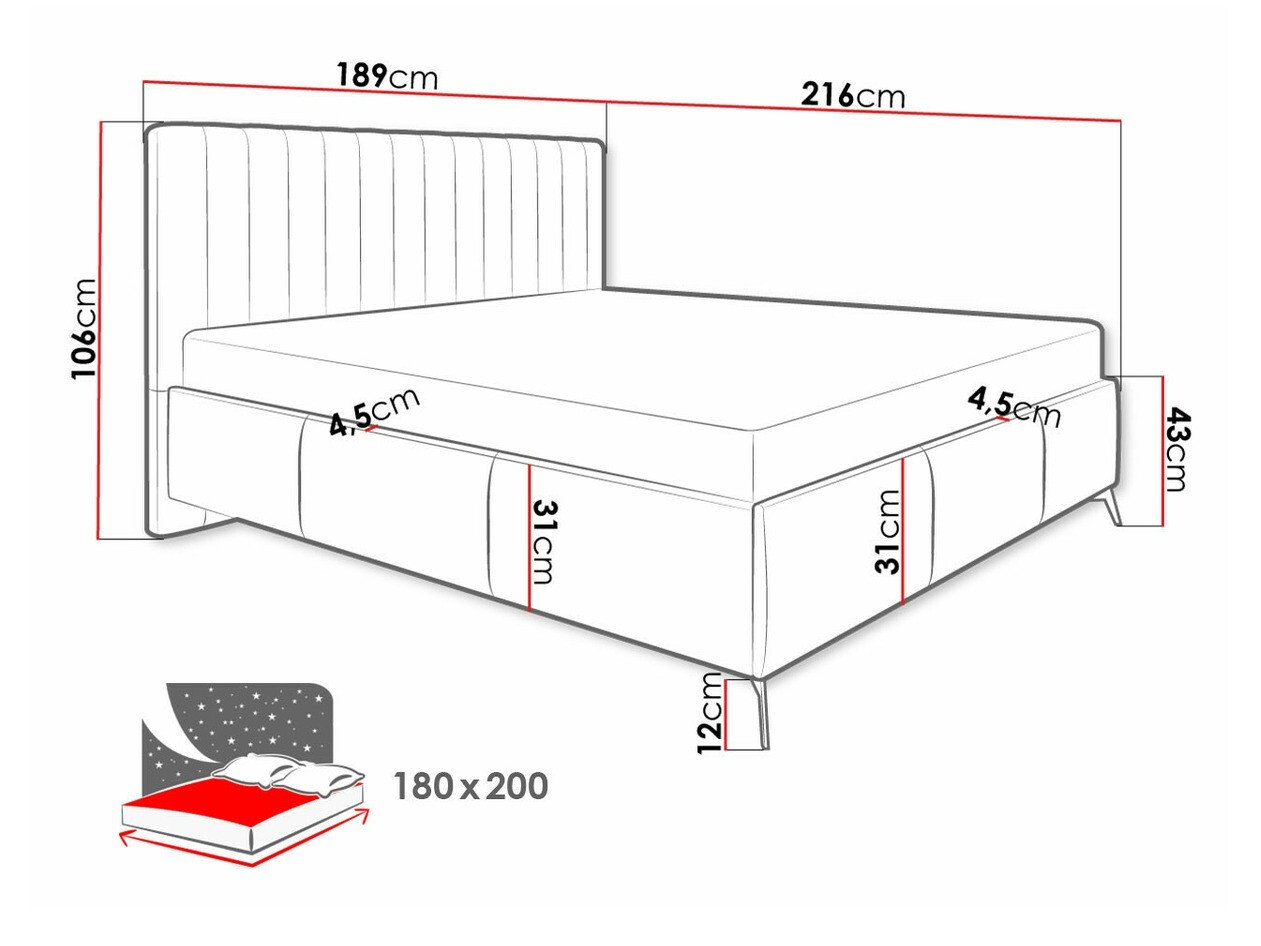 Lit ComfiDream 173 (Fresh 01)
