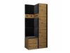 Meuble d'entrée Pinis XXIV (Chêne Artisan + Noir)