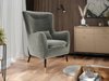 Fauteuil Orem 114 (Magic Velvet 2217)