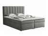 Lit boxspring Pomona 116 (Magic velours 2217)