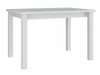 Table Victorville 120 (Blanc)