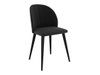 Chaise Racine 104 (Noir + Magic Velvet 2219)