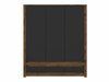 Armoire Ophevaru 119 (Noir mat + April chêne)