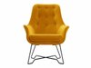 Fauteuil Kingston 135 (Velluto 08)