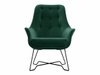 Fauteuil Kingston 135 (Velluto 10)