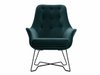 Fauteuil Kingston 135 (Velluto 27)