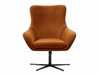 Fauteuil Kingston 136 (Velluto 33 + Velluto 20)