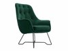 Fauteuil Kingston 135 (Velluto 10)