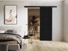 Porte coulissante Dover 201 (Anthracite + Noir)