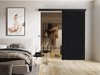 Porte coulissante Dover 203 (Anthracite + Noir)
