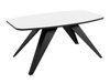 Table basse Oswego 117 (Noir + Blanc)