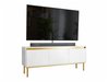 Meuble TV Comfivo 494 (Blanc)