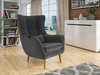 Fauteuil Comfivo Ulmus (Kronos 22)