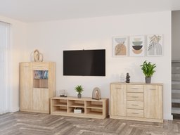 Ensemble de salon Novsore 165 (Sonoma chêne)
