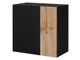 Armoire murale Species I (Noir + Chêne wotan)
