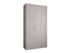 Armoire Hartford 573 (Cachemire)
