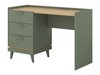 Bureau Fertalu 103 (Vert + Chêne)