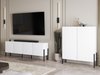 Meuble TV Etsore 100 (Blanc)