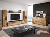 Ensemble de salon Sarasota 133 (Chêne wotan)