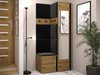 Meuble d'entrée Pinis XXV (Chêne Artisan + Noir)
