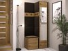 Meuble d'entrée Pinis XXV (Chêne Artisan + Noir)