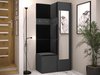 Meuble d'entrée Pinis XXV (Graphite)