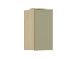 Armoire murale Nolcala 102 (Chêne + Eucalyptus)