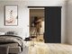 Porte coulissante Dover 203 (Anthracite + Noir)