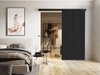Porte coulissante Dover 203 (Anthracite + Noir)