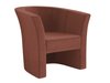 Fauteuil Meriden 100 (Kronos 29)