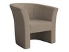 Fauteuil Meriden 100 (Lambi 04)