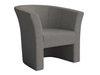Fauteuil Meriden 100 (Lambi 12)
