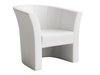 Fauteuil Meriden 100 (Soft 017)