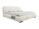 Lit TrendyNest Navium (Coral 15)