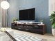Meuble TV Charlotte 117 (Prune + Noir brillant)